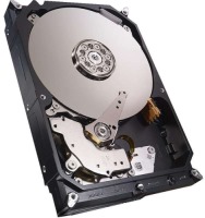 Hard Drive Seagate NAS HDD ST1000VN000 1 TB
