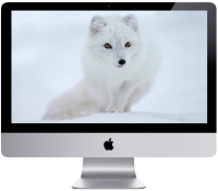 Photos - Desktop PC Apple iMac 21.5" 2013 (ME087)
