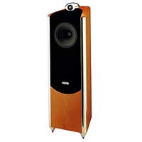 Photos - Speakers Tannoy Dimension TD10 