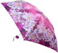 Photos - Umbrella Zest 55516 