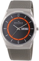 Wrist Watch Skagen SKW6007 