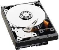 Photos - Hard Drive Hitachi Deskstar 7K1000 HDS721010KLA330 1 TB