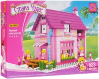 Photos - Construction Toy Ausini Fairyland 24803 