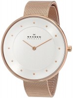 Wrist Watch Skagen SKW2142 