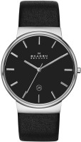 Wrist Watch Skagen SKW6104 