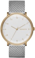 Wrist Watch Skagen SKW6170 