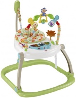 Photos - Baby Walker Fisher Price CHN38 