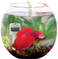 Photos - Aquarium Aquael Gold Fish 5.5 L