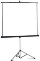 Photos - Projector Screen Projecta ProStar 220x220 