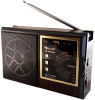 Photos - Radio / Clock Golon RX-9922UAR 