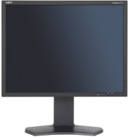 Monitor NEC MultiSync P212 21 "