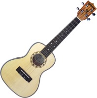 Photos - Acoustic Guitar Parksons UK24Z 