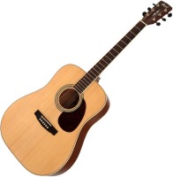 Acoustic Guitar Cort Earth 100 