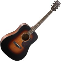 Photos - Acoustic Guitar Cort Earth 300V 