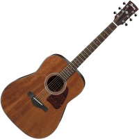 Photos - Acoustic Guitar Ibanez AW54 