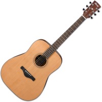 Photos - Acoustic Guitar Ibanez AW65 
