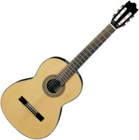 Photos - Acoustic Guitar Ibanez G100 