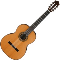 Acoustic Guitar Ibanez G500 