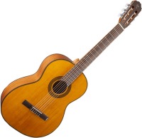 Photos - Acoustic Guitar Takamine GC3 