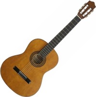 Photos - Acoustic Guitar Stagg C442 