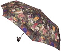 Photos - Umbrella Guy de Jean FRH3524-2 