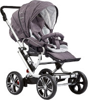 Photos - Pushchair Gesslein F10 