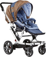 Photos - Pushchair Gesslein F6 