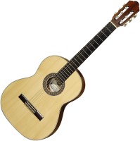 Photos - Acoustic Guitar Hora SM30 