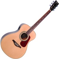 Acoustic Guitar Vintage VE300 