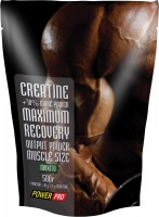 Photos - Creatine Power Pro Creatine 500 g