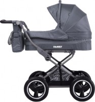 Photos - Pushchair Baby Tilly Family T-181 2 in 1 