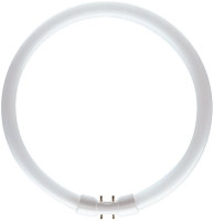 Light Bulb Philips MASTER TL5 Circular 60W 4100K 2GX13 