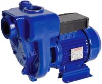 Photos - Surface Pump Speroni HG 50-2.2 