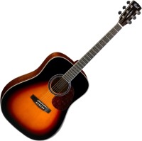 Acoustic Guitar Cort Earth 200 