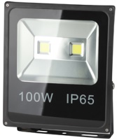 Photos - Floodlight / Street Light ERA LPR-100-6500K-M 