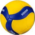 Volleyball Balls