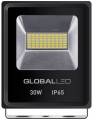 Global Flood Light 30W 