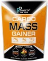 Powerful Progress Carbo Mass Gainer 4 kg