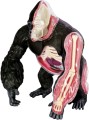 4D Master Gorilla 622012 