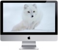 Apple iMac 21.5" 2013 (ME087)
