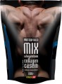 Power Pro Protein Power Mix 1 kg