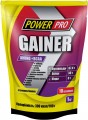 Power Pro Gainer Amino/BCAA 1 kg