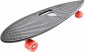 Maraton Longboard Fish