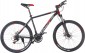 TRINX M136 2019 frame 19