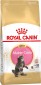 Royal Canin Maine Coon Kitten